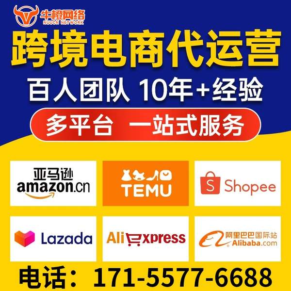 肇东电商代运营
