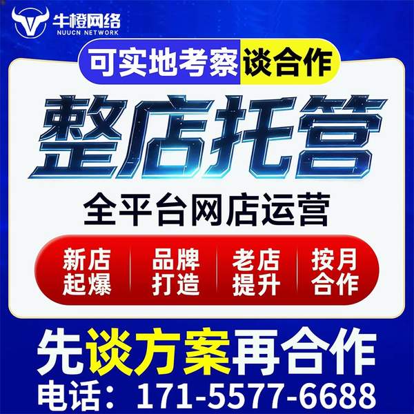 肇东电商代运营