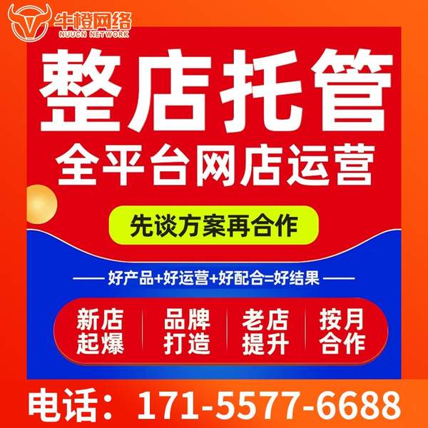 肇东电商代运营