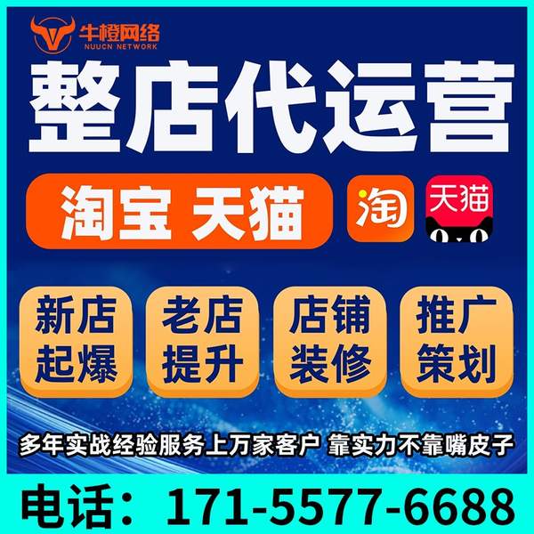 肇东电商代运营