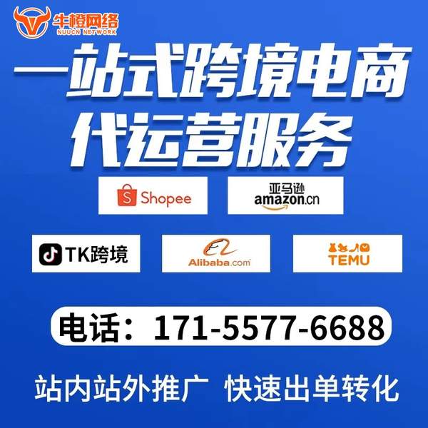 肇东电商代运营