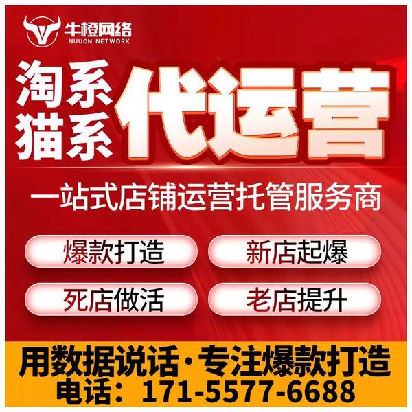 肇东电商代运营